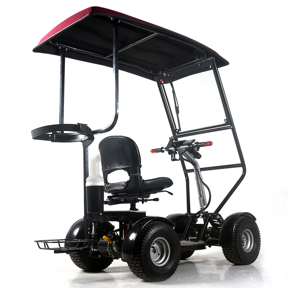 scooter de movilidad de golf de cuatro ruedas personalizado con techo soleado